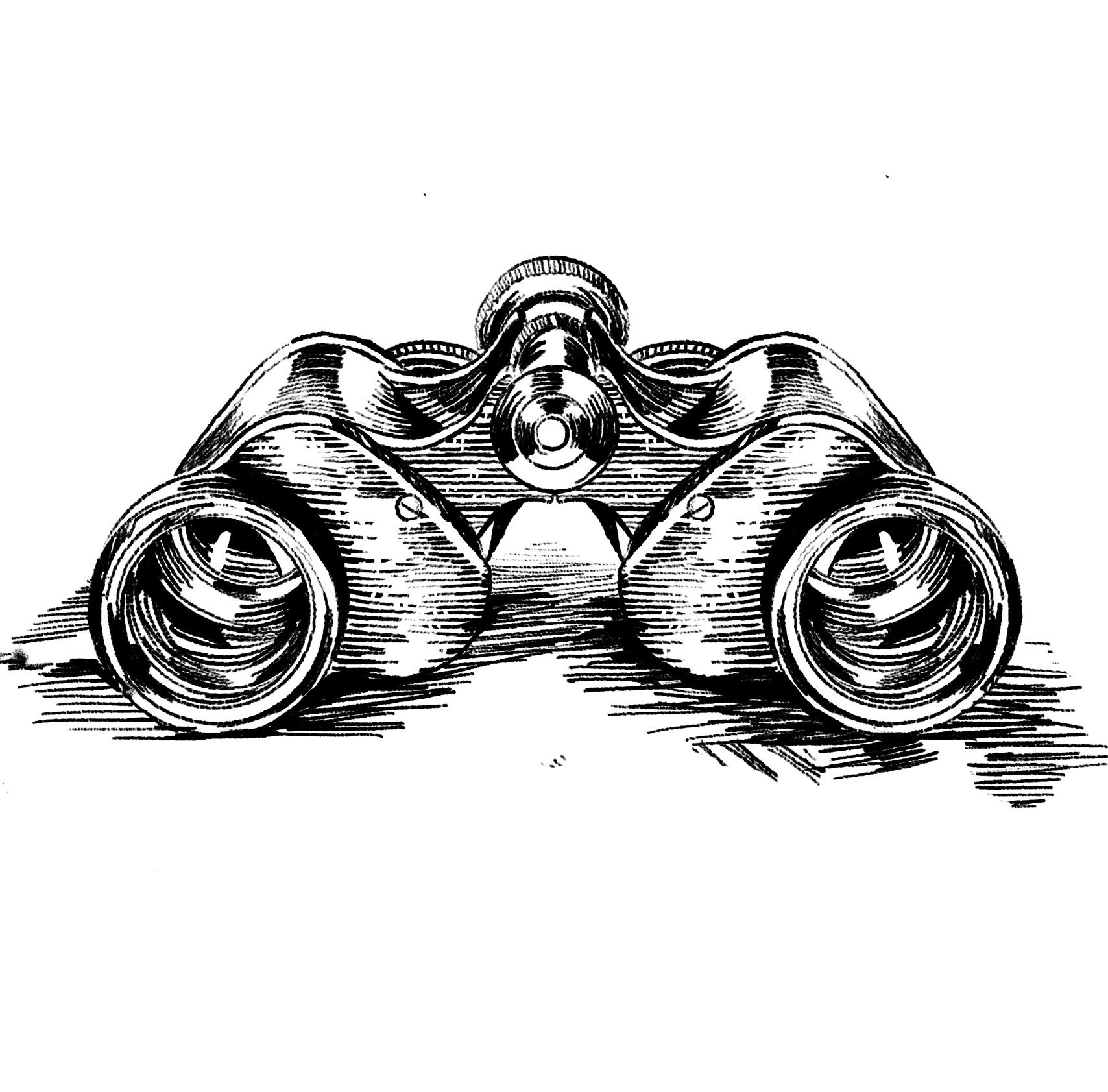 Investigation Icon
